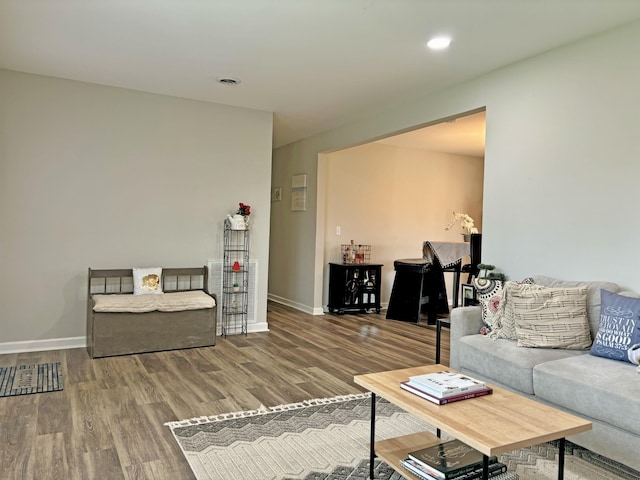 living room featuring hardwood / wood-style floors