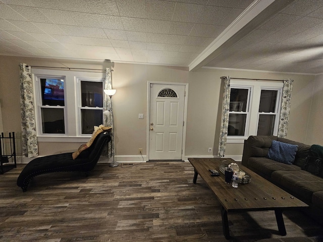 living room featuring dark hardwood / wood-style floors and crown molding