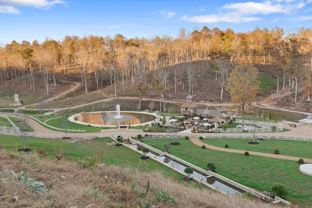 view of yard with a rural view