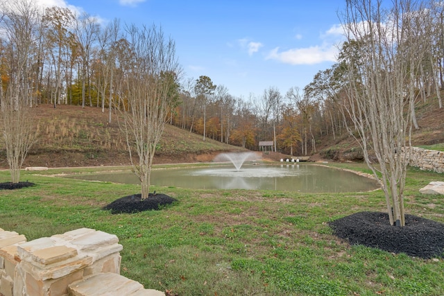 view of yard featuring a water view