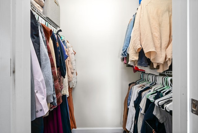 view of spacious closet