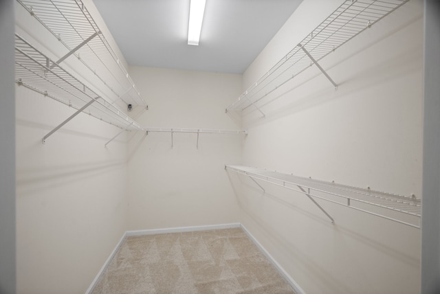 spacious closet featuring light carpet