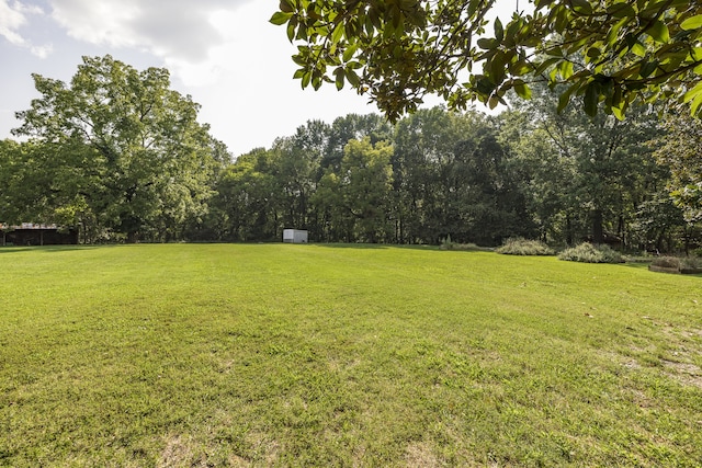 view of yard featuring a storage shed