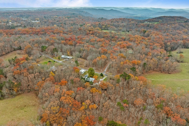 bird's eye view featuring a mountain view