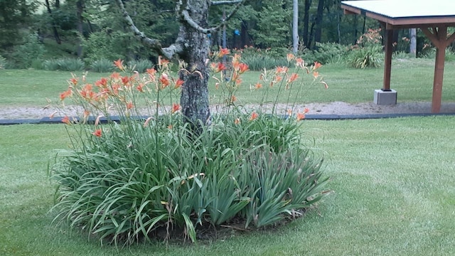 598 Ted Brooks Rd, Jamestown, TN 38556 - view of green lawn