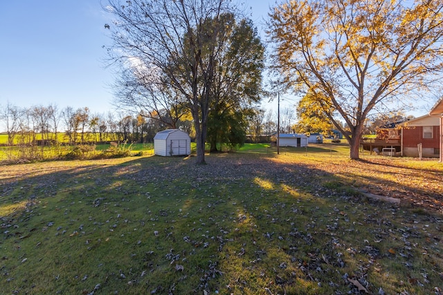 view of yard with a storage shed