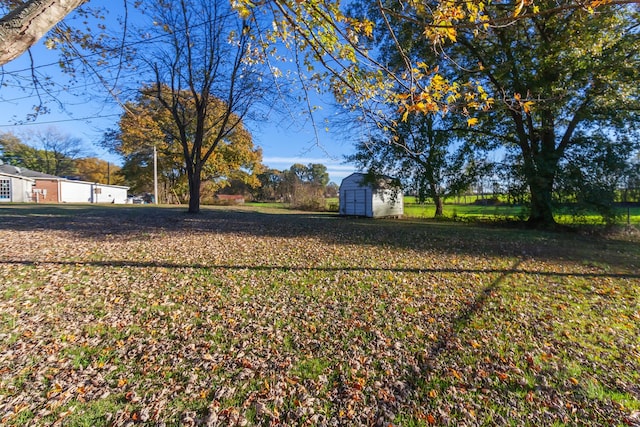 view of yard with a storage shed