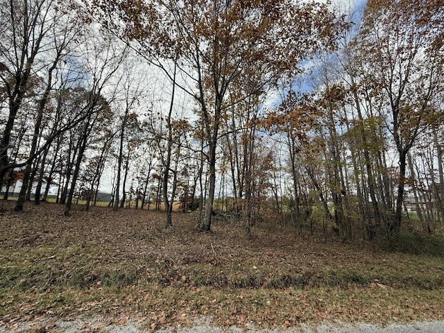 Listing photo 3 for 0 Cotton Ln, Leoma TN 38468