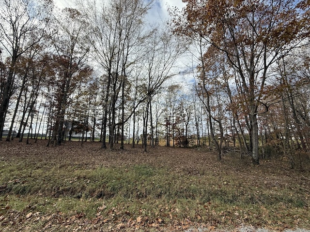 0 Cotton Ln, Leoma TN, 38468 land for sale