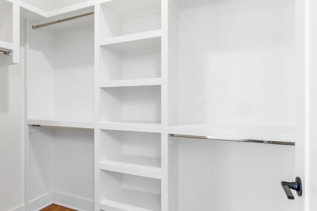 spacious closet featuring wood-type flooring