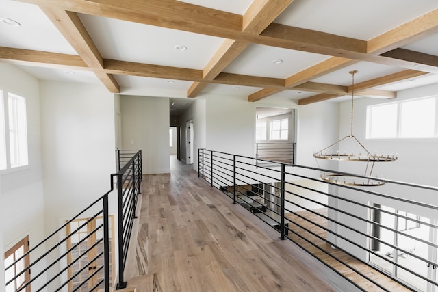 hallway featuring beamed ceiling, a healthy amount of sunlight, a notable chandelier, and light wood-type flooring