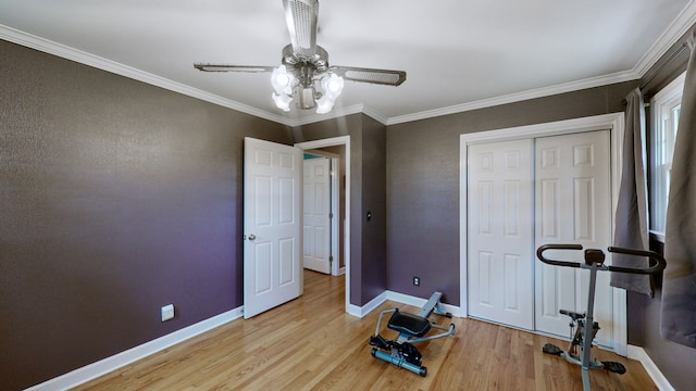 exercise room featuring ceiling fan, light wood-type flooring, and crown molding