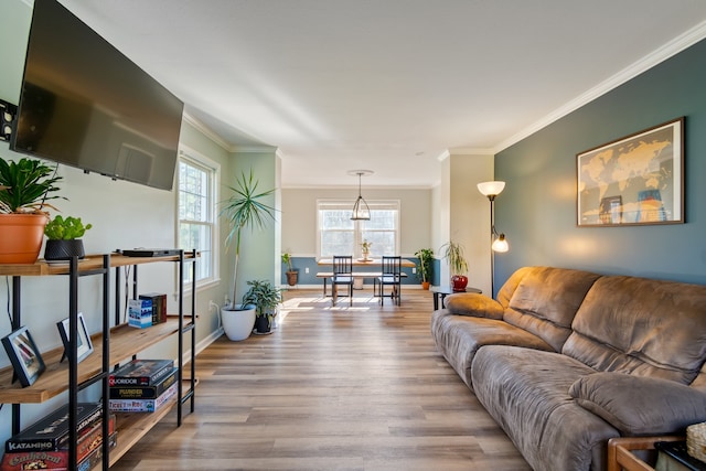 living room with crown molding and light wood-type flooring