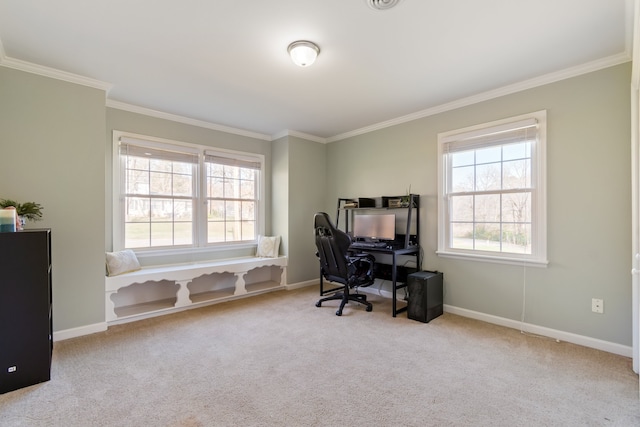 office featuring crown molding and light colored carpet