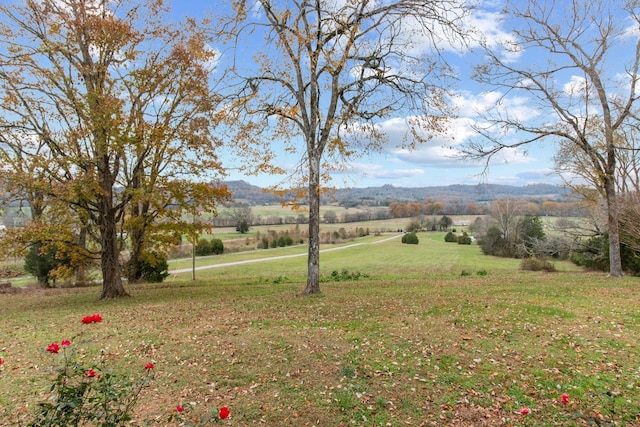 view of yard featuring a mountain view and a rural view