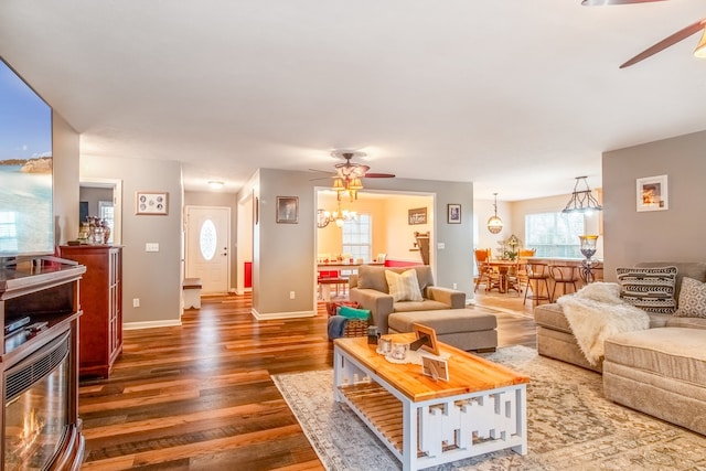 living room with ceiling fan with notable chandelier and dark hardwood / wood-style flooring