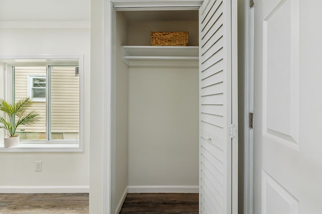 view of closet