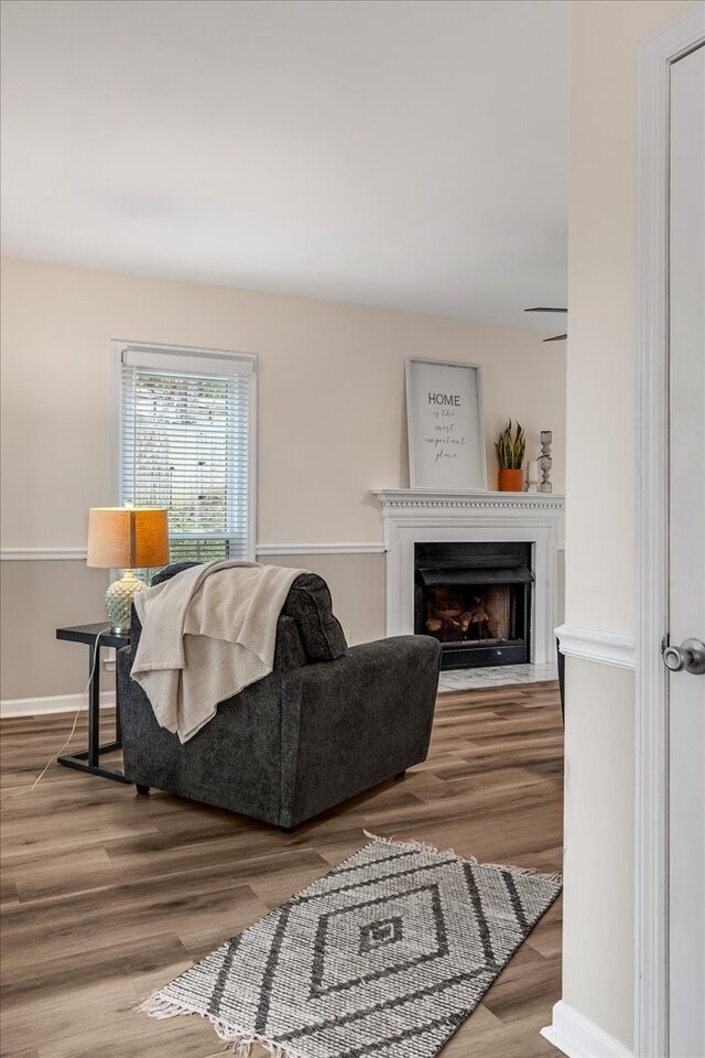 living room with hardwood / wood-style floors