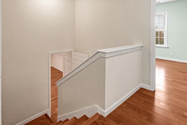 stairway with hardwood / wood-style flooring