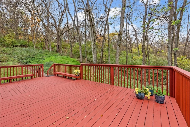 view of wooden deck