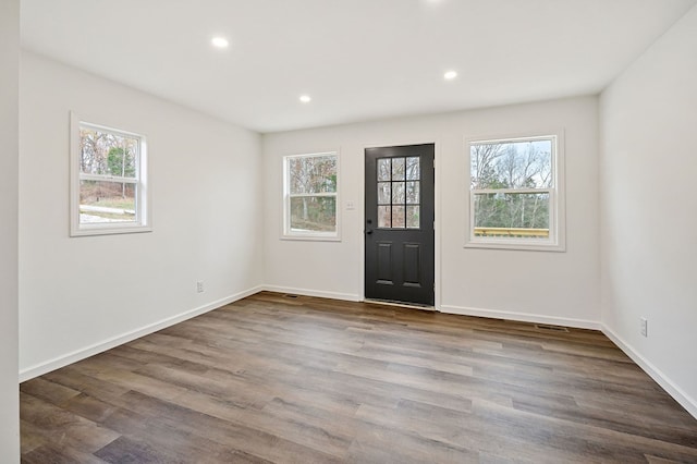 foyer with a healthy amount of sunlight and wood-type flooring