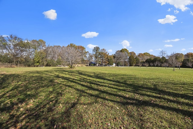 view of yard with a rural view