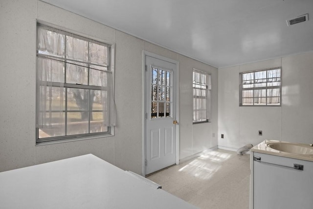 entryway with sink