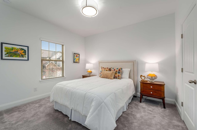 bedroom with carpet floors