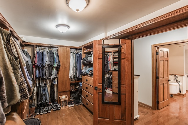 spacious closet featuring hardwood / wood-style floors