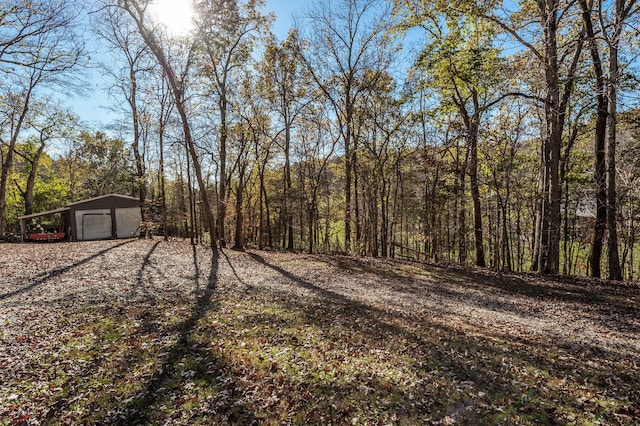 view of yard with an outbuilding and a garage