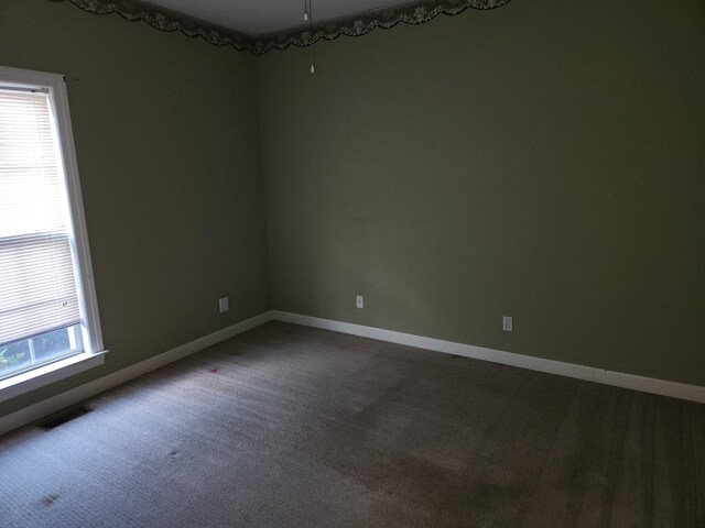 spare room featuring carpet and a wealth of natural light