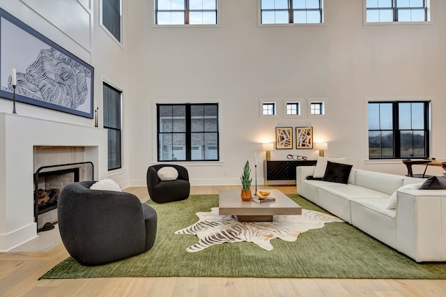 living room with a high ceiling and hardwood / wood-style flooring