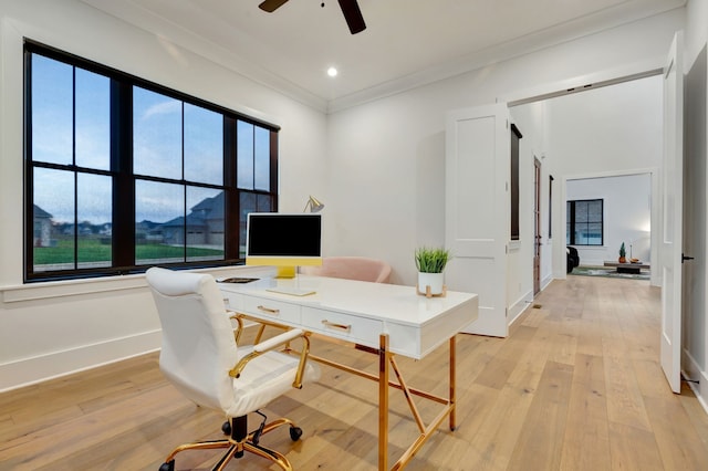 home office featuring ceiling fan, light wood-type flooring, and crown molding