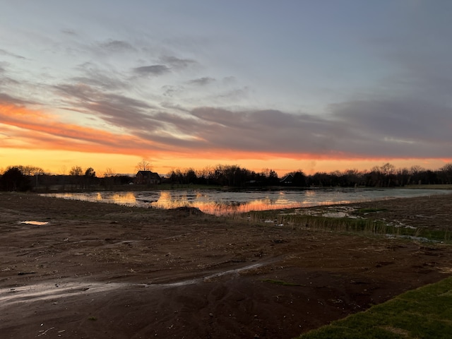 nature at dusk with a water view