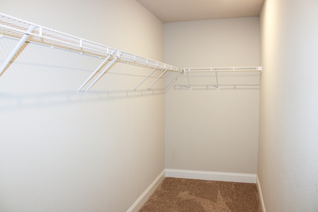 walk in closet with carpet