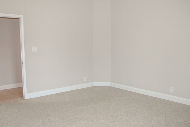 empty room with carpet flooring