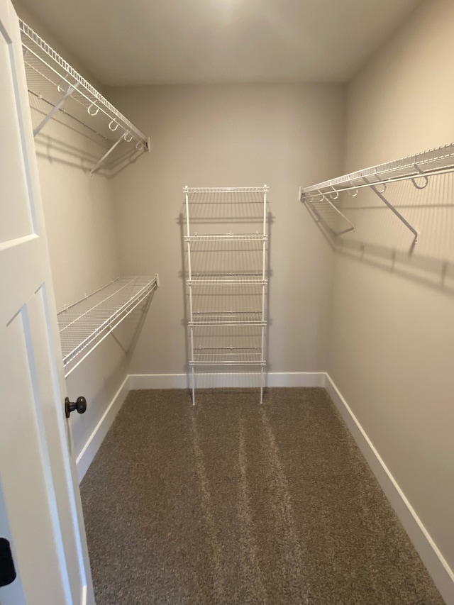 spacious closet with dark colored carpet