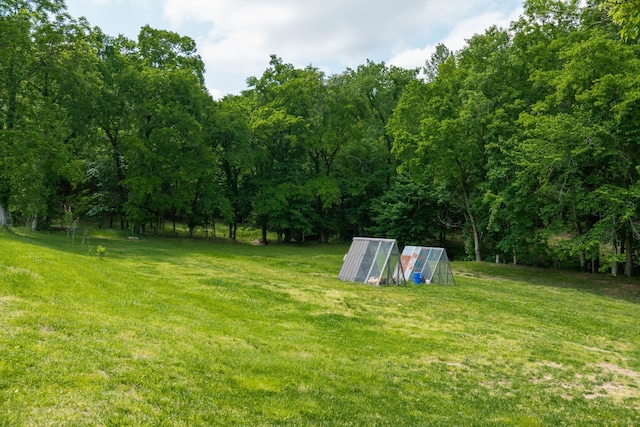 view of yard featuring an outdoor structure