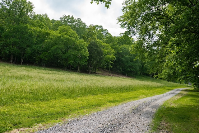 view of road