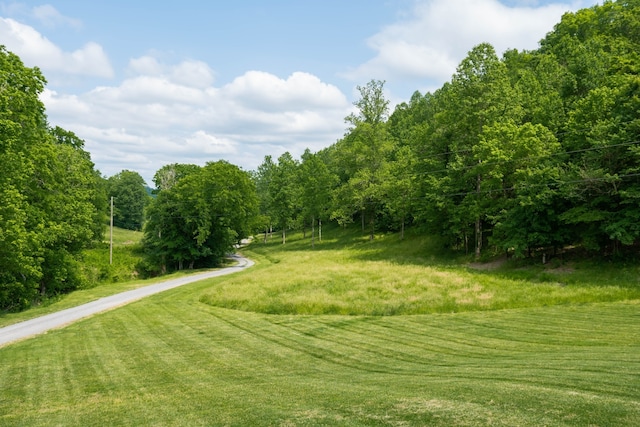 view of home's community featuring a yard