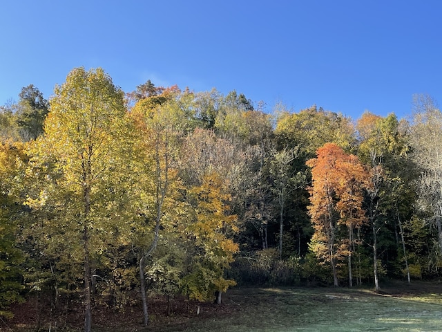 view of landscape