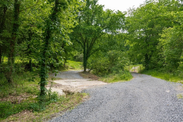 view of road