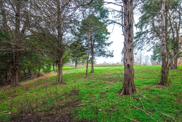 view of landscape