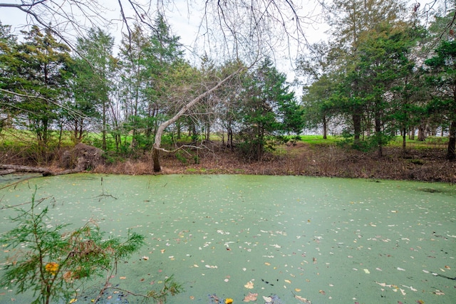 view of water feature