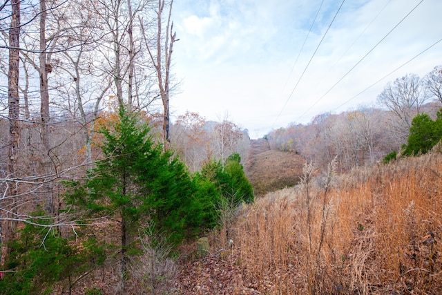 view of nature