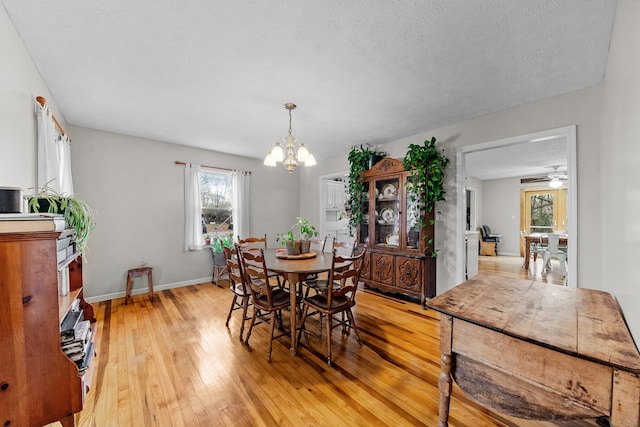 dining room featuring ceiling fan with notable chandelier, a textured ceiling, and light hardwood / wood-style flooring