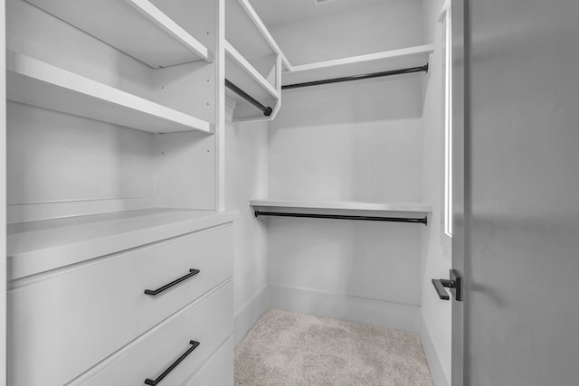 walk in closet with carpet floors