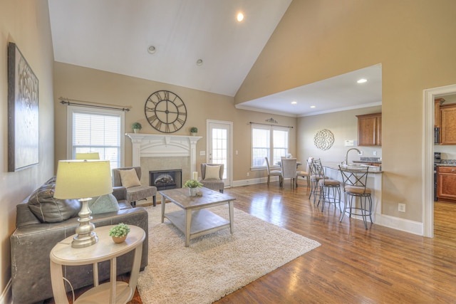 living room featuring hardwood / wood-style floors, sink, and high vaulted ceiling