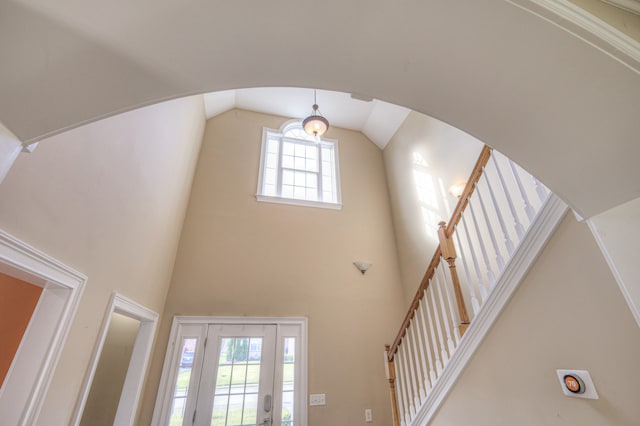 foyer entrance with a high ceiling and a wealth of natural light