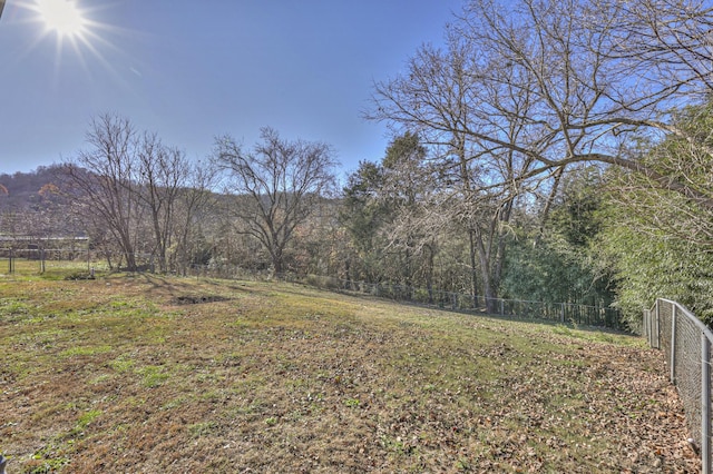 147 Hillview Hts, Dowelltown, TN 37059 - photo 28